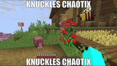 bro thinks he's Knuckles Chaotix 💀🗣️🔥💯