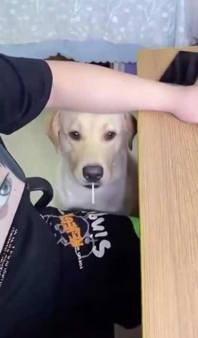 What do I do with this?