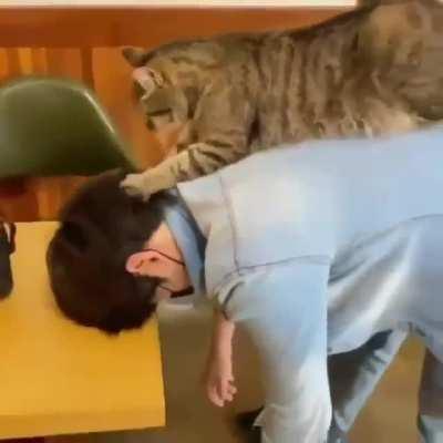 Cat massage, 5 cents