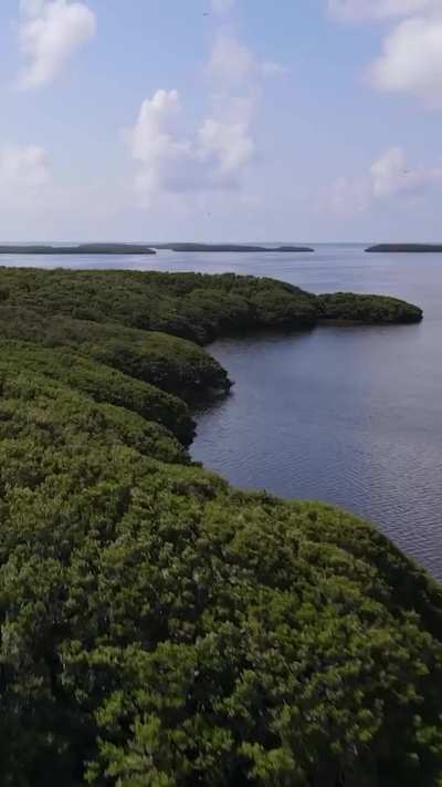 The nature of Florida is slowly fading