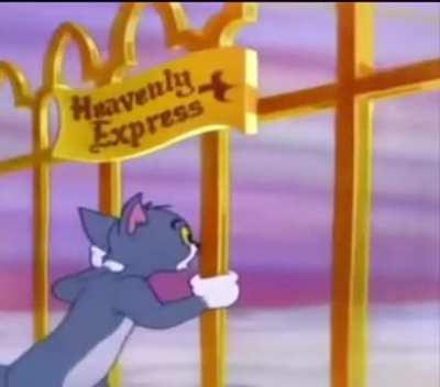 We were too young to understand.