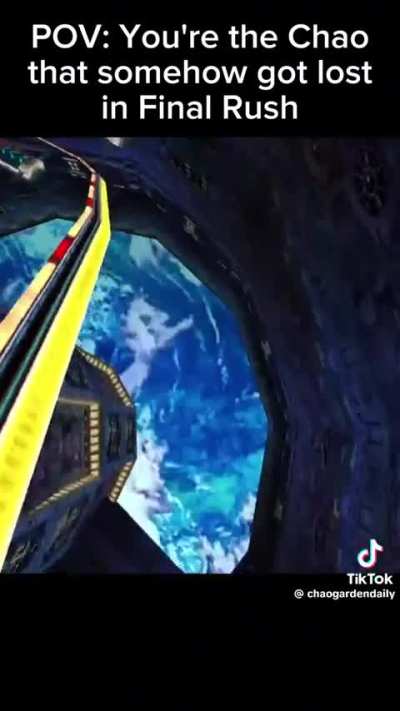 Had to be an all S chao