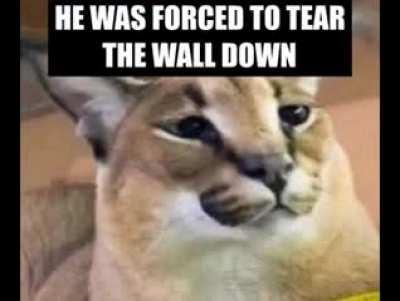 East german flopper? 🙀