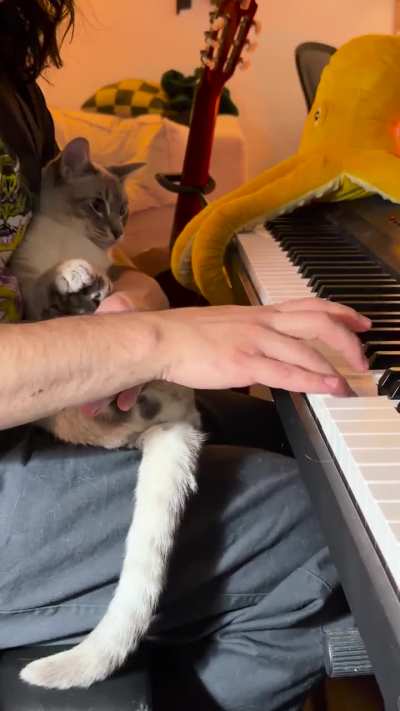 Is this a song or am I dumb