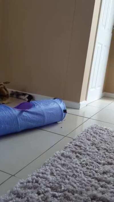 Caught his first flop