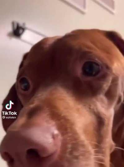 When Bruce doesn’t stream on Fridays