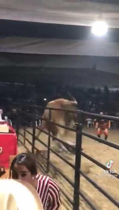 HMFT after I get flipped by the Bull