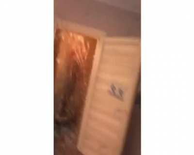 Shit literally hit the roof fam