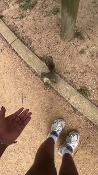 Perfectly bit finger :D