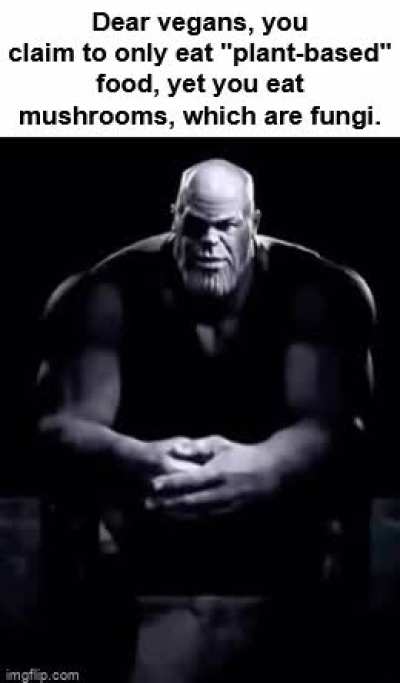 Didn't feel like looking for a Shapiro gif so this will do