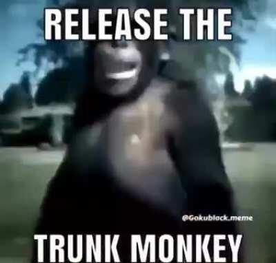 Release The Trunk Monkey