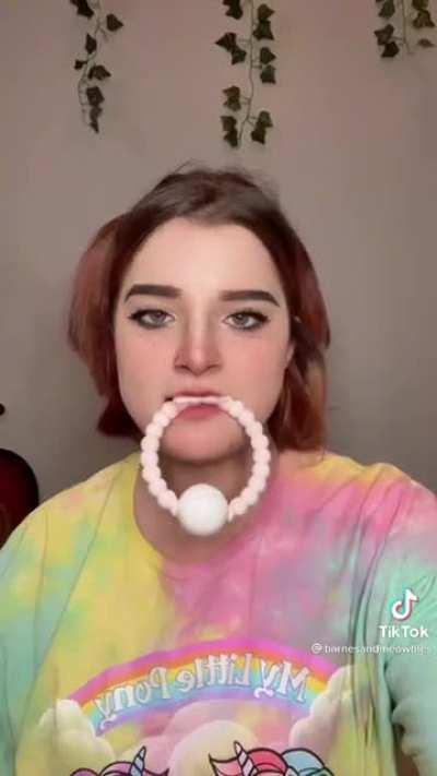 Imagine working at the petsmart while they did this