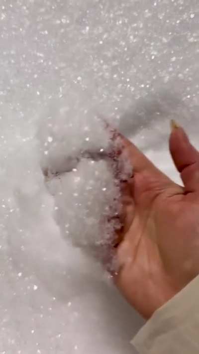 SURREAL Moment as Coyote drinks WATER from Skylight Window on TOP of Los Angeles HAIR Salon