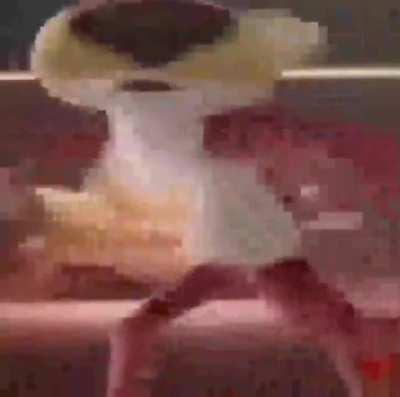 a maze with no prize