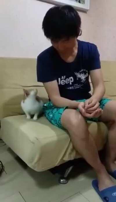 The Cat and the Magic Trick