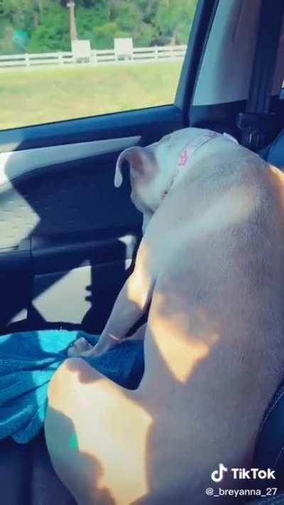 Everybody needs to watch this because omg I’m CRYING