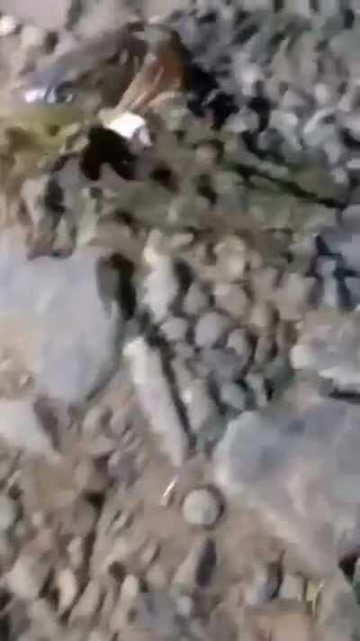 Matias MDLR jaja calle 🥶