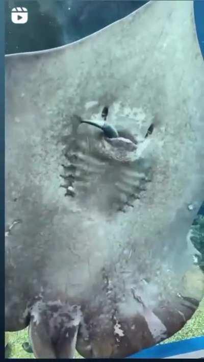 big man wtf??? 😭😭😭😭😭😭😭