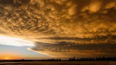 The colour and shape of these clouds in the evening sunlight