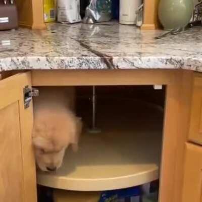 Small bug, progress bar on video stops when you enter a crosspost.