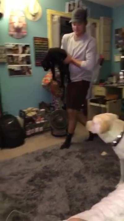 Pet: cat of bounciness, when the owner dropped from a great height the cat will activate it's special ability bounce the owner when Landing will bounce right back up without any damage.