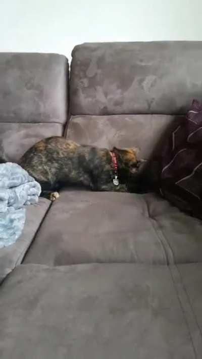 So sad but funny 😆 😂 😛