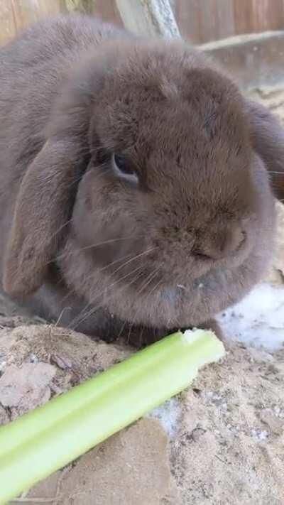 Billie Buné having a snack.