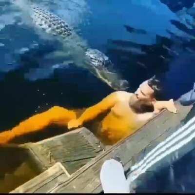 You heard of swimming with the sharks, but have you ever...