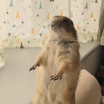 You're doing pretty well, keep going.