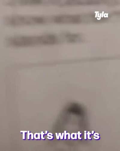 mean she is not wrong! 🤷‍♀️