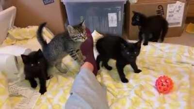 What was that sound you monster!