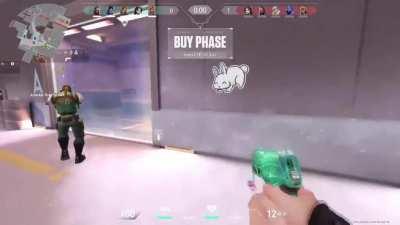 Spreading wholesomeness with the bunny spray