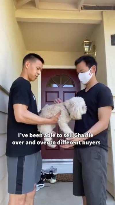 This belongs in this sub