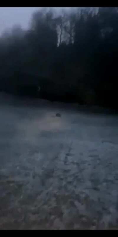 Don't run down icy hills kids!