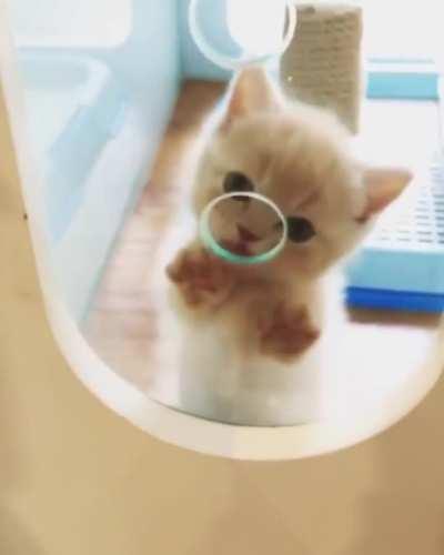 Nosy little munchkin!