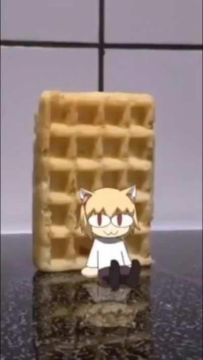 The cat has met her end