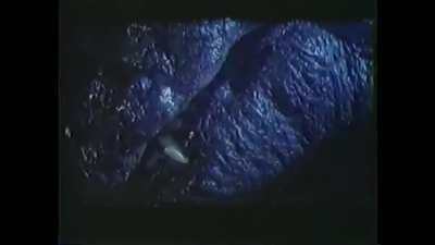 Godzilla's MTV Lifetime Award Montage