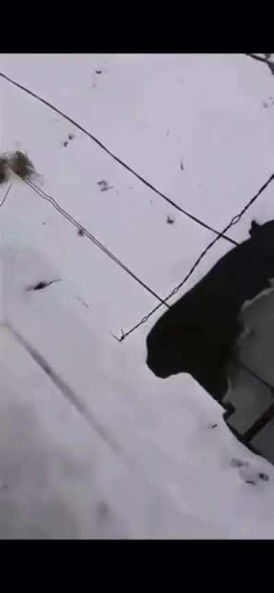 Russian jumps from bridge into a frozen lake without checking the ice. At 1:13 his friend face plants in the snow running to help him. Then he slips again and knees the swimmer in the face.