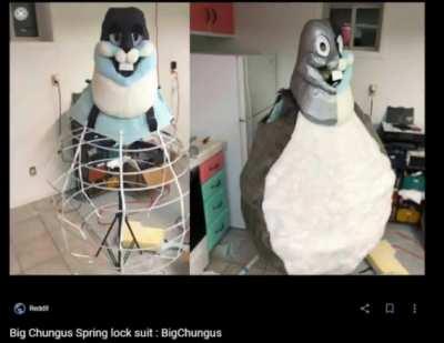 Yuor springlock suit is: