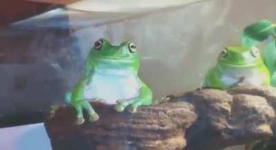 Alright .. you keep messing with me and I’m gonna lick you up