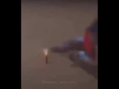 Some of these didn't take off. First clip inspired this, I regret nothing.