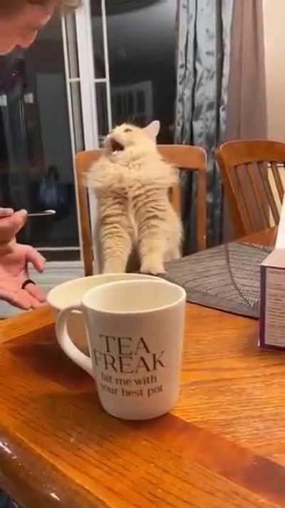 Ice cream taster getting brain freeze