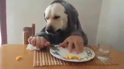 Remember this trend 😂