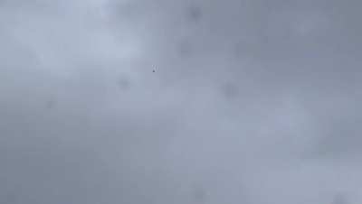 The video of the UFO that is being subject to scrutiny. Whatever reasons behind the deletion of the original video doesn't matter. I've downloaded a copy of it.