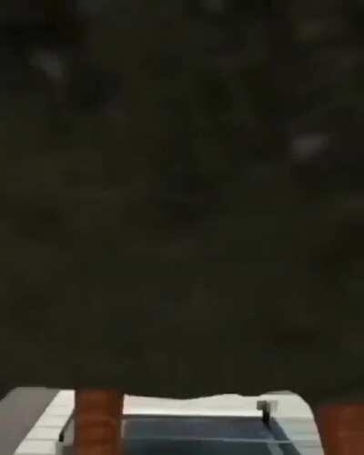 The duck, lord of the lake