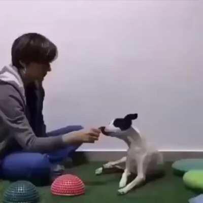 Good girl, sorry if repost