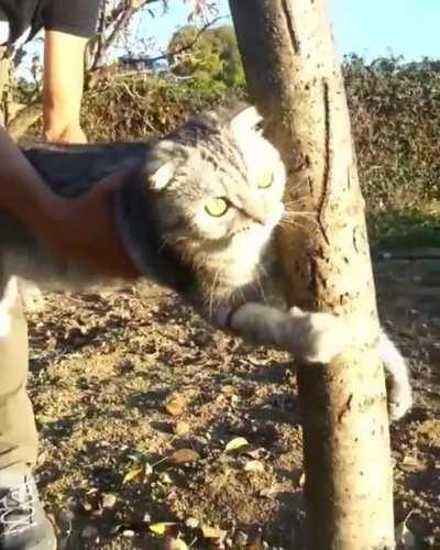 No don’t take me, this is my home now!