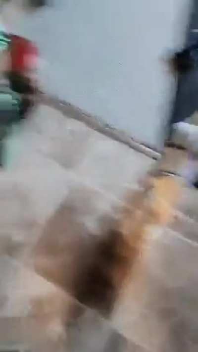 Cannibal lunkus 😔