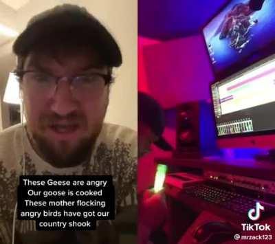 OT, why hast thou released all the geese upon us???