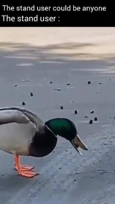 Quackyoin what are you doing?